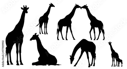 Elegant graphic illustration featuring multiple giraffe silhouettes, capturing the unique beauty and postures of these majestic savanna animals, ideal for wildlife-themed designs
