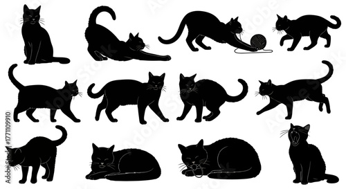 Set of Black Cat Silhouettes Elegant Feline Illustrations