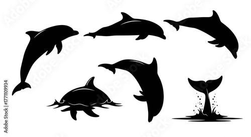 Diverse Collection of Elegant Dolphin Silhouettes Showcasing Graceful Marine Life and Dynamic Ocean Movements, Ideal for Nature-Themed Projects