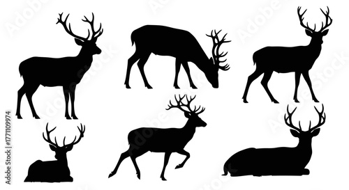 Collection of Silhouette Deer Graphics with Antlers in Various Poses