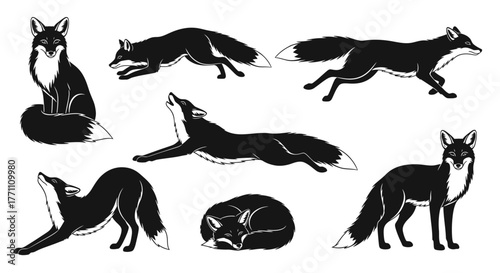 Diverse fox illustrations showcasing various poses and behaviors, ideal for design projects