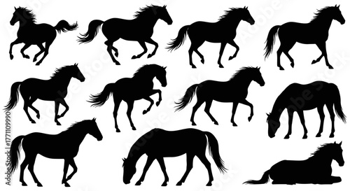 Silhouettes of Horses Graceful Equine Collection in Black