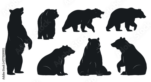 Collection of dynamic bear silhouettes in various poses, including standing, walking, and roaring, suitable for wildlife graphic design, nature projects, and versatile animal illustrations
