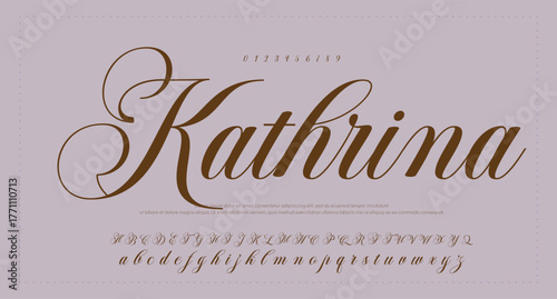 Signature Font Calligraphy Logotype Script Brush Font Type Font lettering handwritten