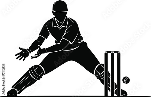 Silhouette of a wicketkeeper in action during a cricket match