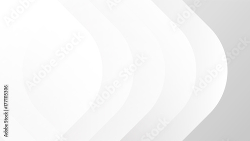 white background. luxury background. vector