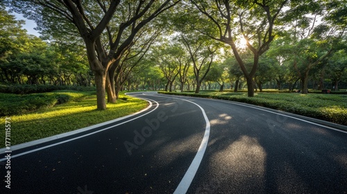 Serene Curved Road Surrounded by Lush Green Trees and Sunlight Glowing Through Leaves in a Peaceful Outdoor Setting