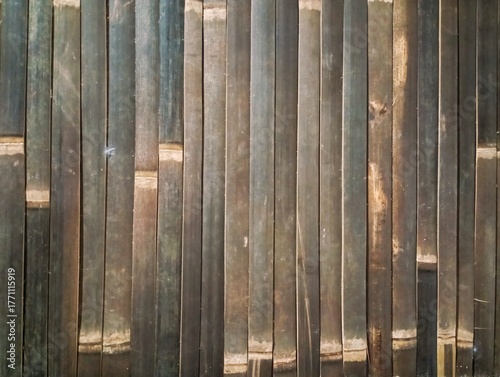 Bild auf Leinwand Natural Vertical Bamboo Stalks Texture Background