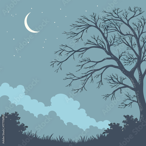 Crescent moon night sky with silhouetted tree and clouds