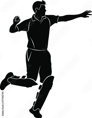 Silhouette of a cricket player in mid action