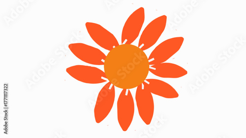 An orange flower with a circular center and petals radiating outward on white background