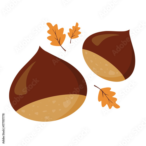Simple flat vector illustration of chestnuts with autumn oak leaves. Can be used for seasonal design, food branding, nature, packaging, autumn festival theme.