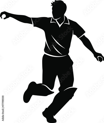 Silhouette of a cricket player in action