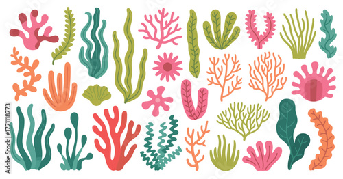 Tropical Coral and Seaweed Vector Illustration Set – Ocean algae, marine moss, and underwater plant elements for aquarium scenes, aquatic posters, and sea design templates.