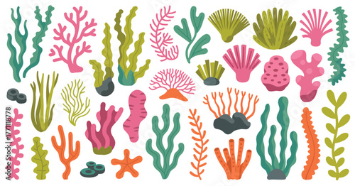 Ocean Algae and Coral Vector Set – Seaweed illustrations with kelp, seagrass, and tropical underwater plants suitable for marine life graphics, aquarium art, and sea-themed decor.