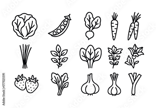 Set of hand-drawn vegetable icons including carrot strawberry peas herb leaves