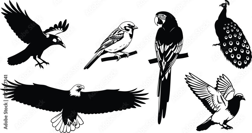 Obraz premium Silhouette birds flying, perched, landing—crow, eagle, parrot, peacock, pigeon, sparrow vector illustration for nature, wildlife concept