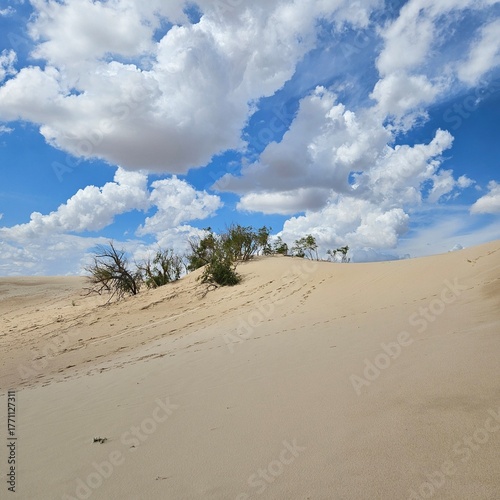 Cloudy sky over golden sand dunes at Monahans Sandhills State Park, Texas