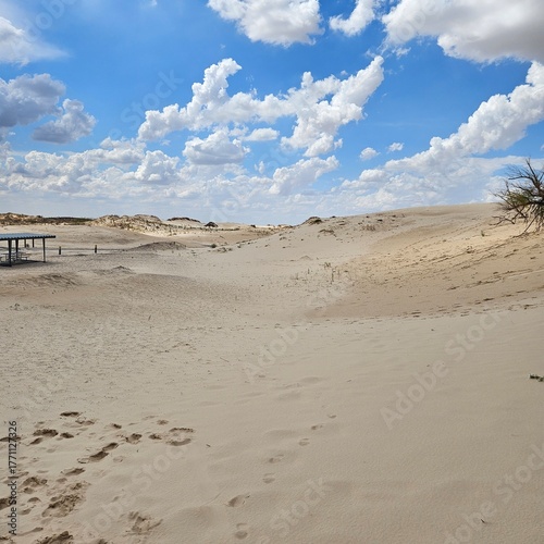 Cloudy sky over golden sand dunes at Monahans Sandhills State Park, Texas