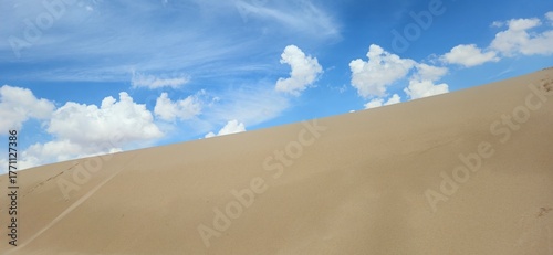 Fototapeta Naklejka Na Ścianę i Meble -  Sandy dune with footprints against a cloudy sky at Monahans Sandhills State Park, Texas