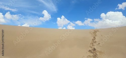 Fototapeta Naklejka Na Ścianę i Meble -  Sandy dune with footprints against a cloudy sky at Monahans Sandhills State Park, Texas