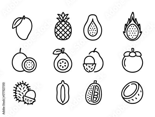 Outline icons of exotic tropical fruits collection