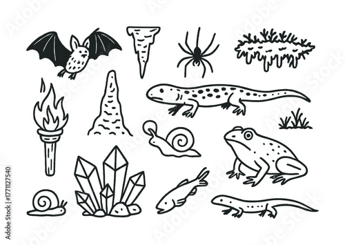 Cave life: salamanders, snails, frog, bat, torch, crystals, spider, moss, stalagmites