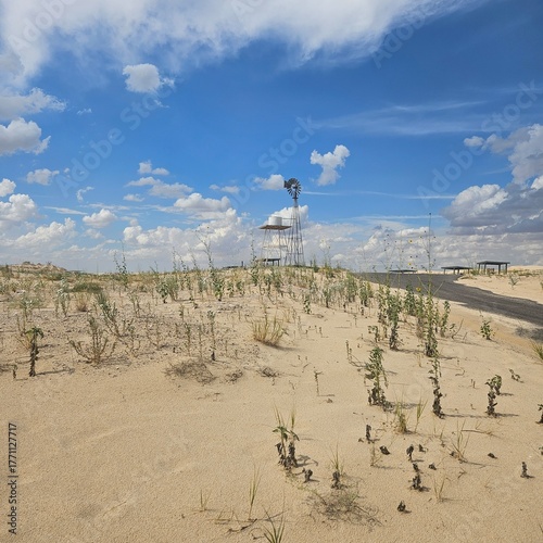 Road between vegetated sand dunes with a windmill in the background, Monahans Sandhill State Park, exas