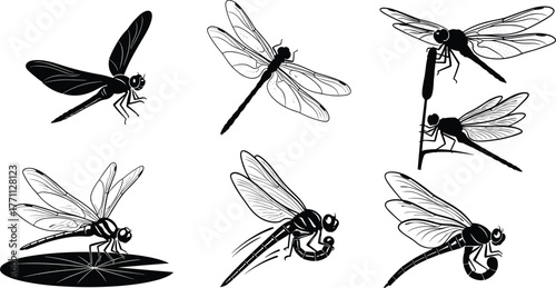 Silhouette dragonflies flying, perched, resting on lily pad and stalk—black and white vector illustration for nature, insect anatomy concept