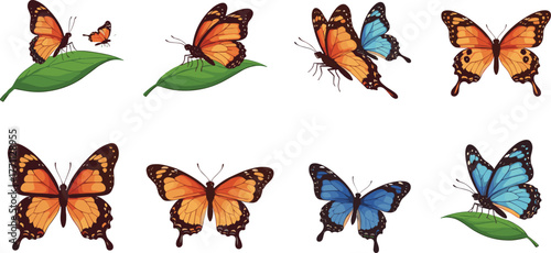 Colorful butterflies flying, perched on leaves and flowers—vector illustration of wing diversity for nature, garden wildlife, insect anatomy concept