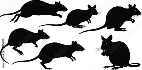 Silhouette rats in running, sitting, crouching, standing poses—black and white vector illustration for wildlife, nature, rodent animal concept