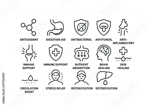 Health benefits icons: antioxidant, antibacterial, detoxification, immune support, nutrient absorption