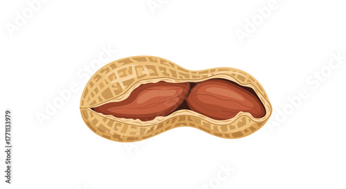 An opened peanut shell reveals two whole, reddish-brown peanuts nestled inside, presented as a clean, isolated illustration.