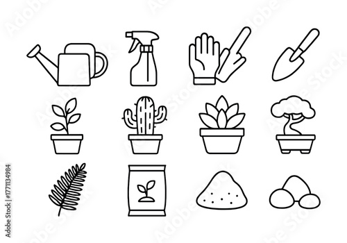 Gardening tools and plants: watering can, spray bottle, gloves, trowel, potted plants, cactus, succulent, bonsai, fern