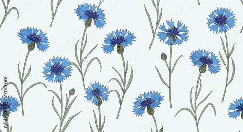 Seamless pattern of vibrant blue cornflowers with green stems and leaves, hand-drawn in a botanical illustration style, on a clean background.