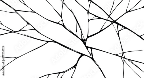 Abstract Black and White Vector Crack Pattern Broken Glass Texture Network Overlay Graphic Element