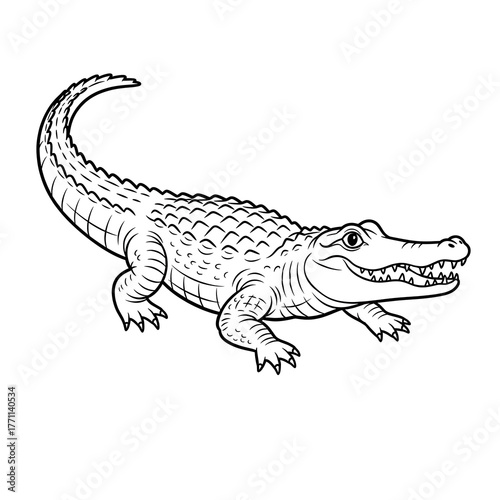colorless crocodile animation