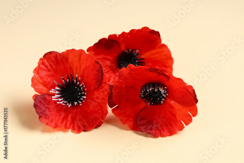 Poppy flowers on beige back...