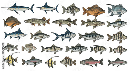 An illustrative collection of various fish species, featuring marine and freshwater aquatic animals, isolated on a white background.