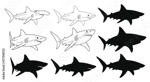A collection of black and white shark illustrations featuring detailed line art and stark silhouettes of different shark species, including a hammerhead and great whites.