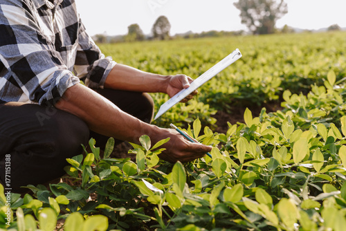Farmer in a field inspecting crops, holding a clipboard and pen, recording agricultural data for sustainable farming