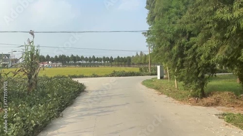 アジアの農村に広がる緑の分かれ道と田園風景