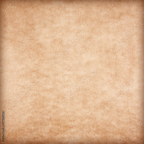 Old Paper texture. vintage paper background or texture; brown paper texture