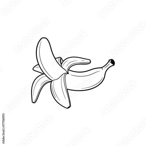 Simple outline drawing of a peeled banana