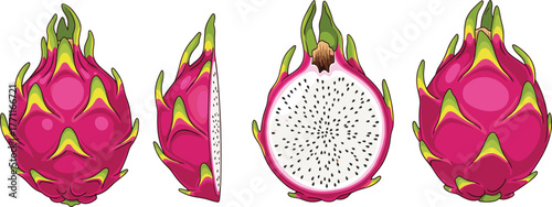 Ripe dragon fruit whole and cut in half showing white flesh and black seeds, tropical exotic pitaya fruit vector illustration for healthy food design