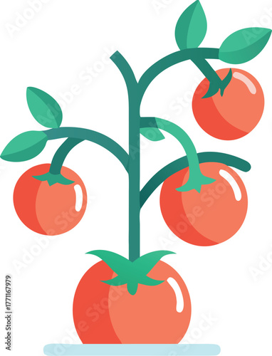 Illustration of a tomato plant with five ripe red tomatoes and green leaves on a simple white background. The style is minimalistic and vibrant.