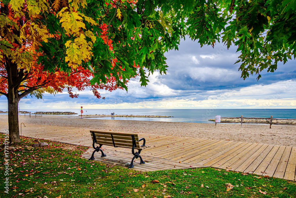 Fototapeta premium Park bench on wooden boardwalk framed by fall leaves shot at Kew Beach in Toronto