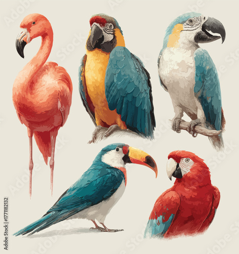 Tropical Feathers Exotic Birds Artwork