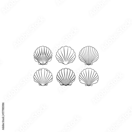 Set of scallop shell logos. Collection of isolated scallop outlines on white background. 