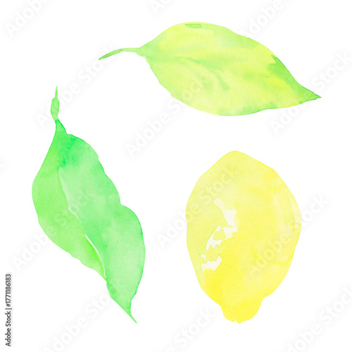 Yellow lemon with leaves painted in watercolor